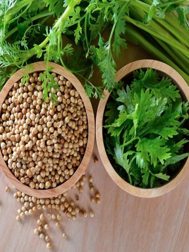 Coriander Seed