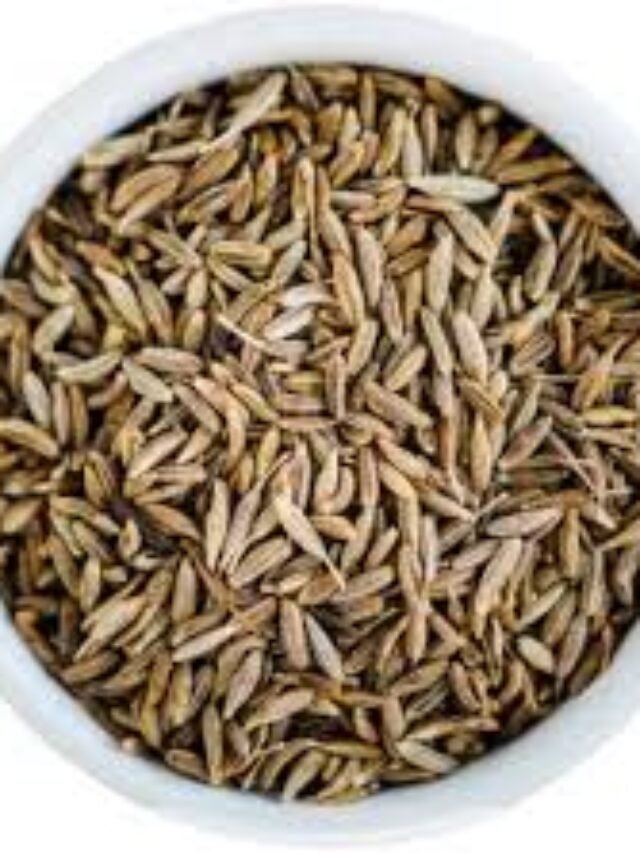 cumin seed benefits for women