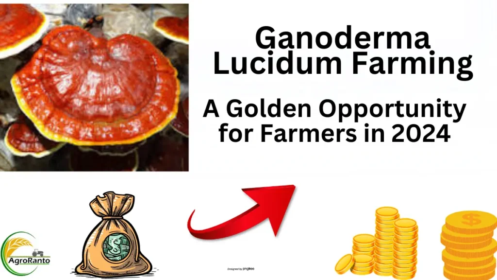 Ganoderma Lucidum Farming A Golden Opportunity for Farmers in 2024