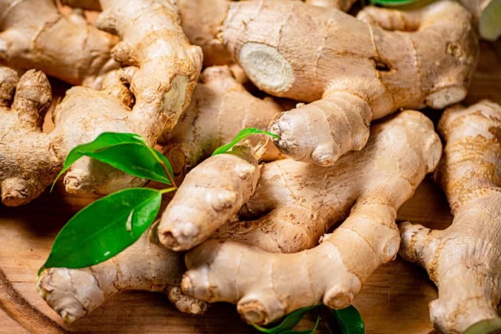 Ginger Farming