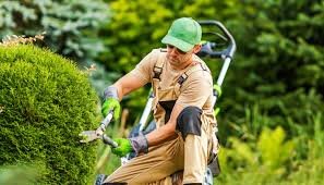 Landscaping Agency