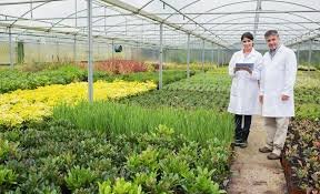 Plant Nursery Business