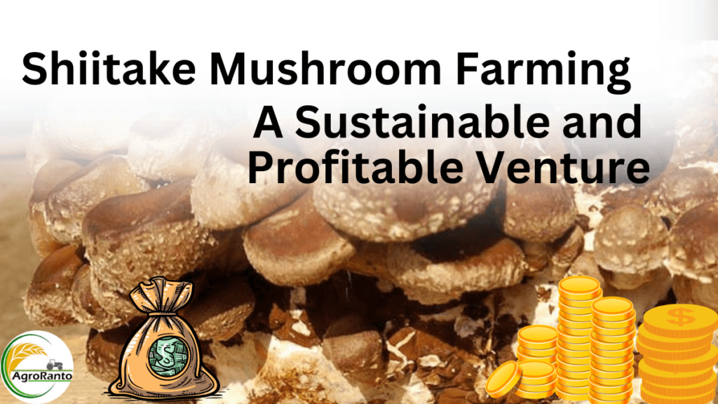 Shiitake Mushroom Farming