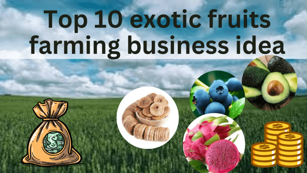 Top 10 exotic fruits farming business idea