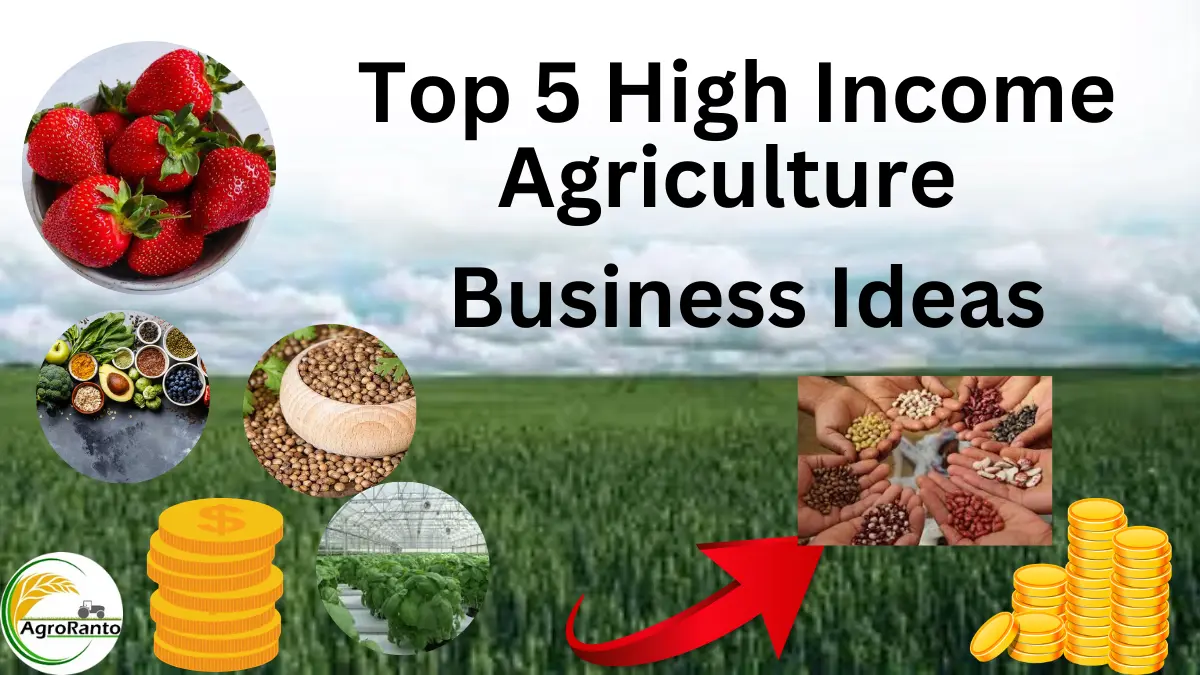 Top 5 High Income Agriculture Business Ideas for Young Entrepreneurs ...