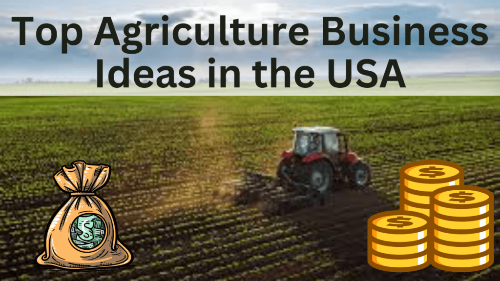 Top Agriculture Business Ideas in the USA