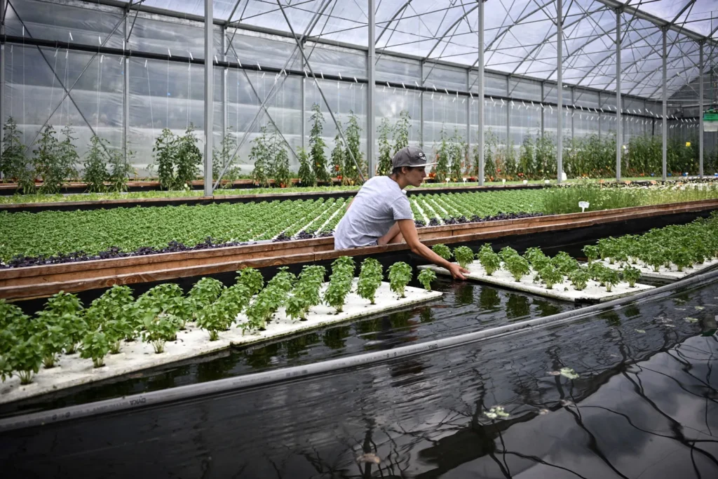 Aquaponics