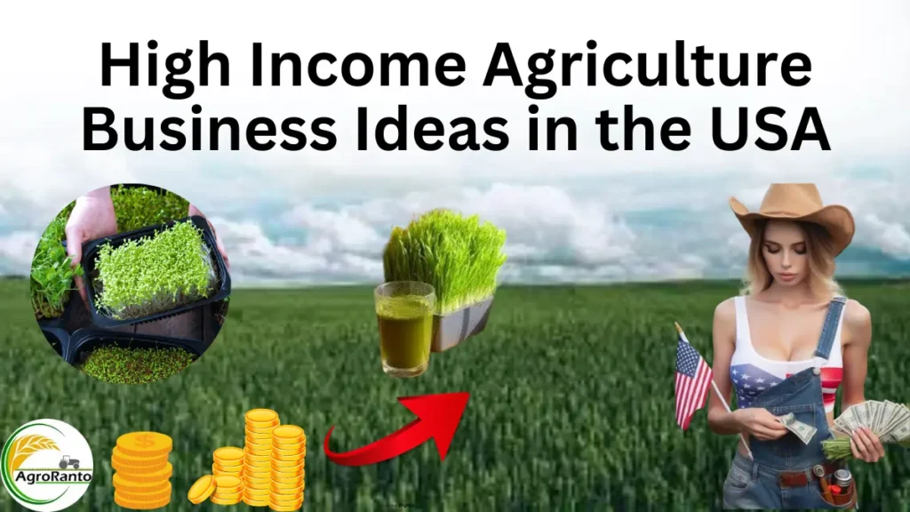 Agriculture Business Ideas in the USA with high income