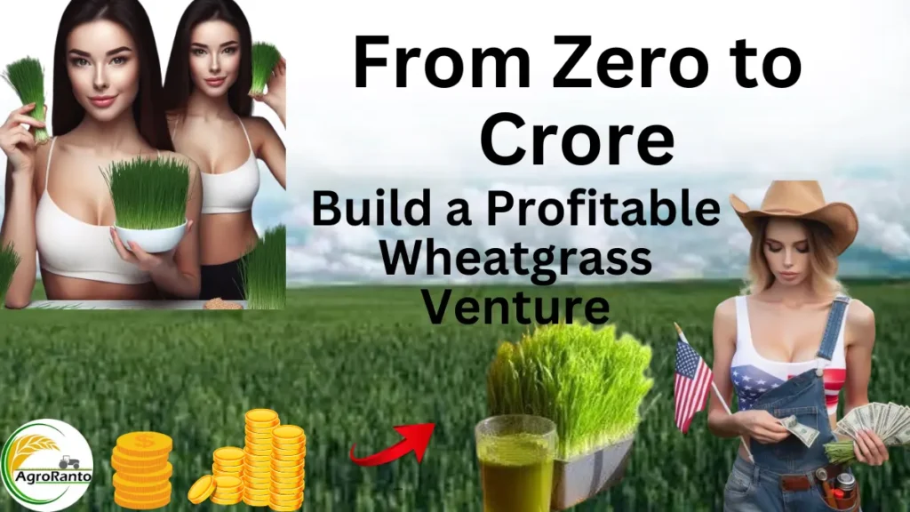 From Zero to Crore: How to Build a Profitable Wheatgrass Venture