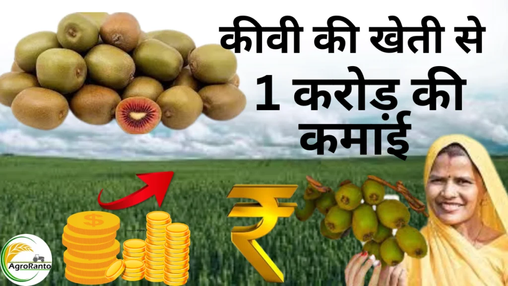 Kiwi ki kheti se crorepati bane