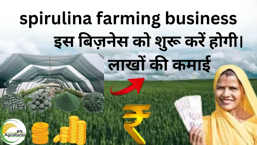 spirulina farming business