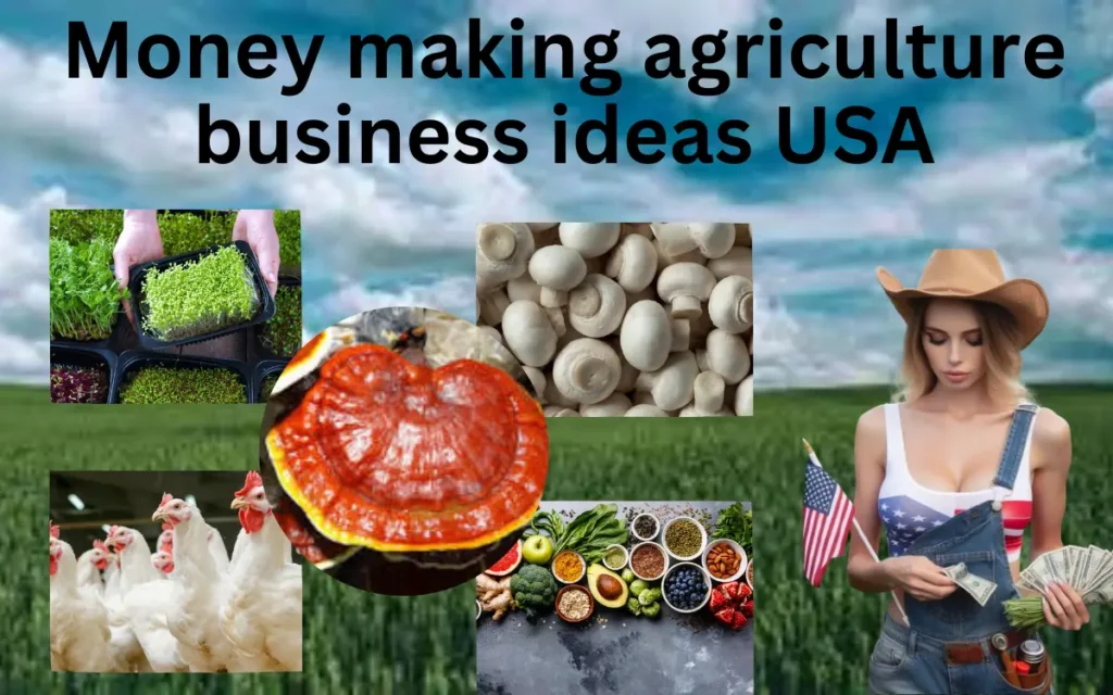 Money making agriculture business ideas USA