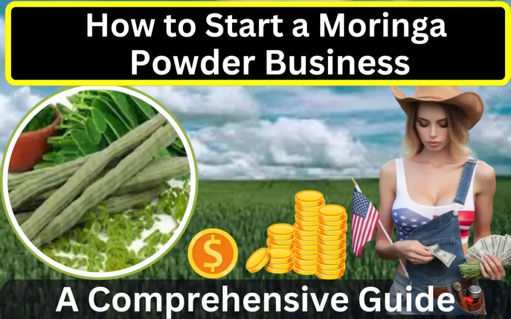 How to Start a Moringa Powder Business