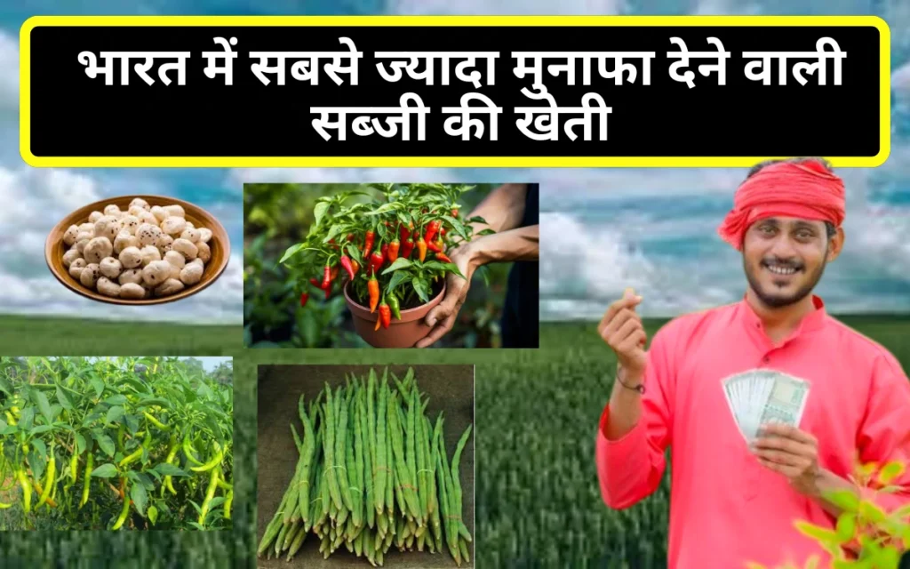 Most Profitable Vegetable Farming in India in hindi