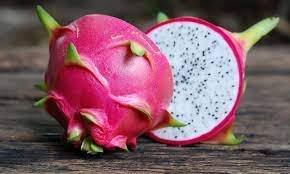 dragon fruit ki kheti se kamai