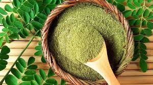 How to Start a Moringa Powder Business