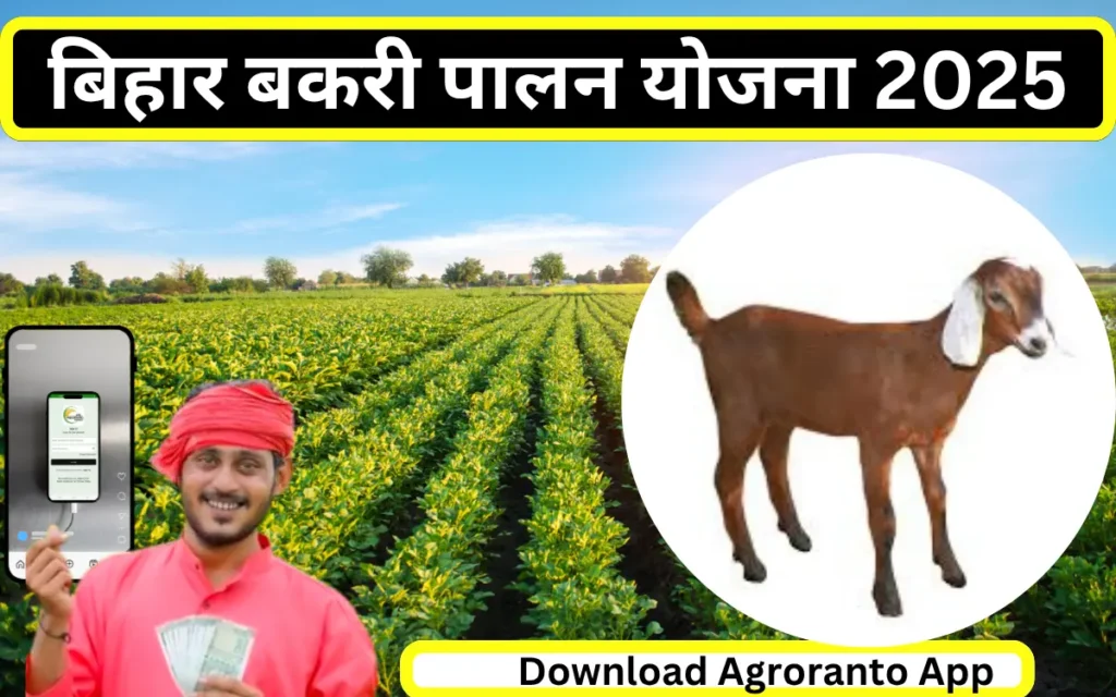 Bihar Bakri Palan Yojana 2025