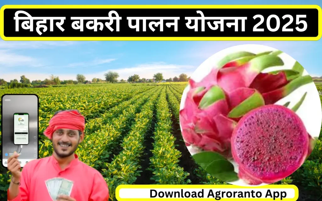 dragon fruit ki kheti subsidy in bihar