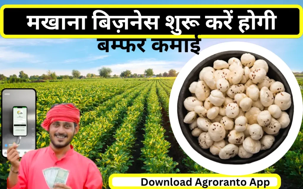 makhana business kaise shuru karen