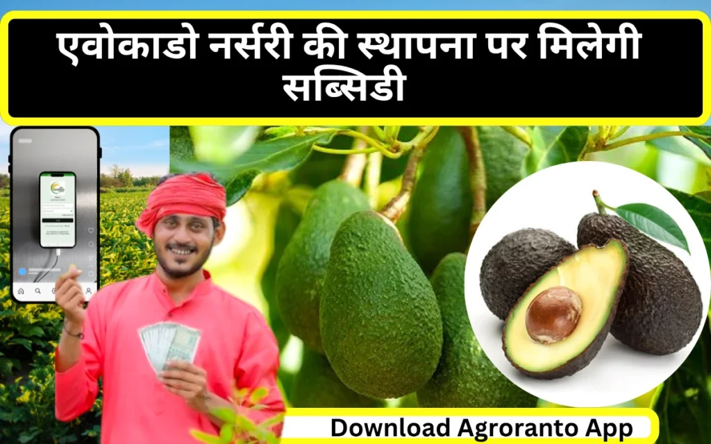 Avocado nursery subsidy in bihar online apply 2025