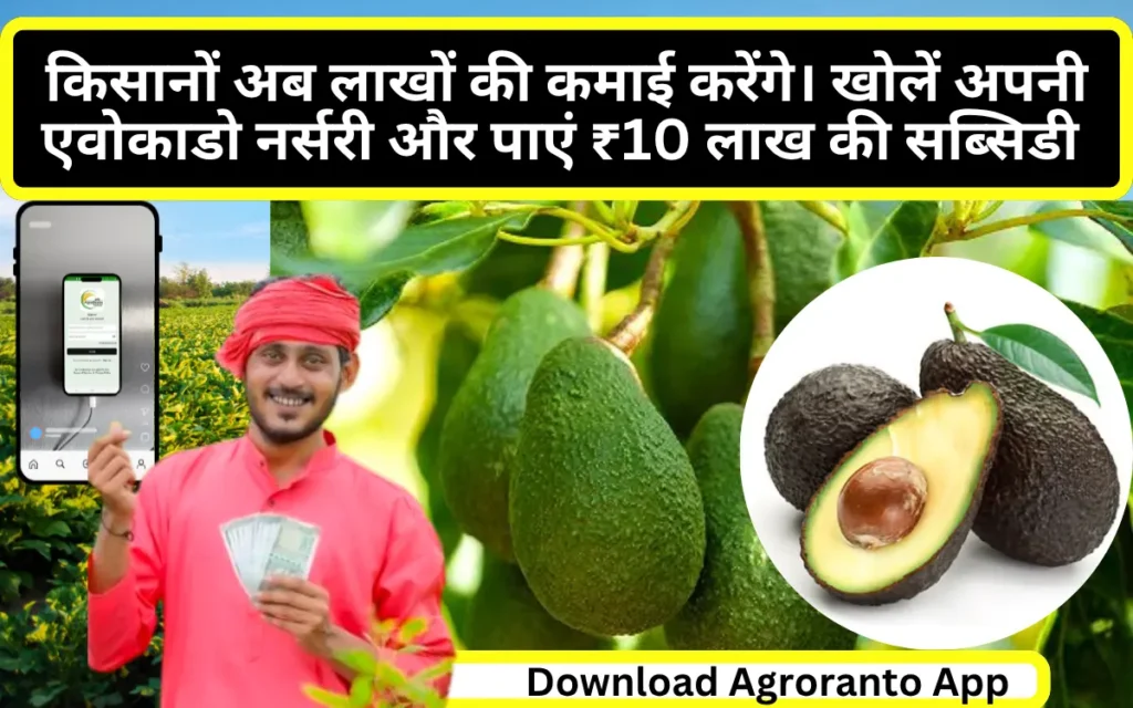 Bihar Avocado Nursery Yojana subsidy online apply