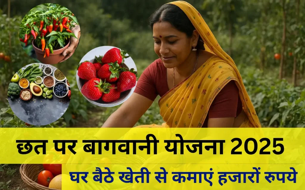 Chhat par bagwani yojana bihar apply online 2025