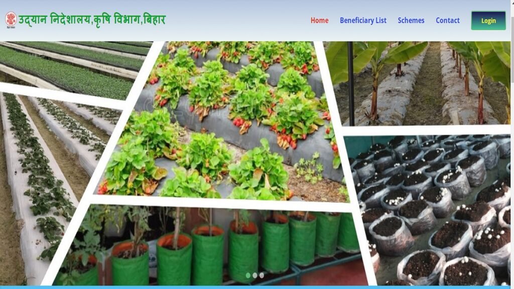 bihar chhat par bagwani yojna 