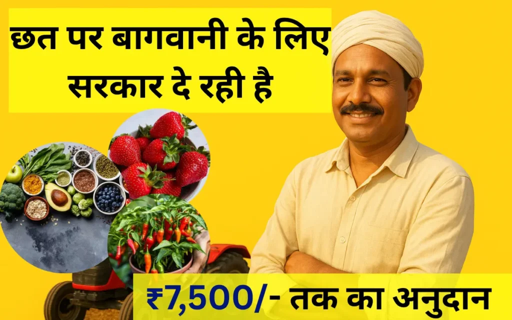 Bihar Chhat Par Bagwani Yojana 2025