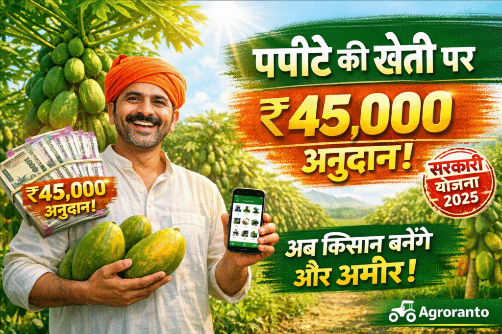 पपीता विकास योजना 2025, Papaya Farming Subsidy Bihar, Bihar Horticulture Scheme, पपीता खेती अनुदान, Bihar Papaya subsidy Yojana 2026 , Agroranto App for Farmers, कृषि यंत्र किराया, Bihar Horticulture Mission, पपीते की खेती से कमाई, Papaya Farming Profit in Bihar, papita subsidy yojna bihar 2026, papita vikas yojna bihar,