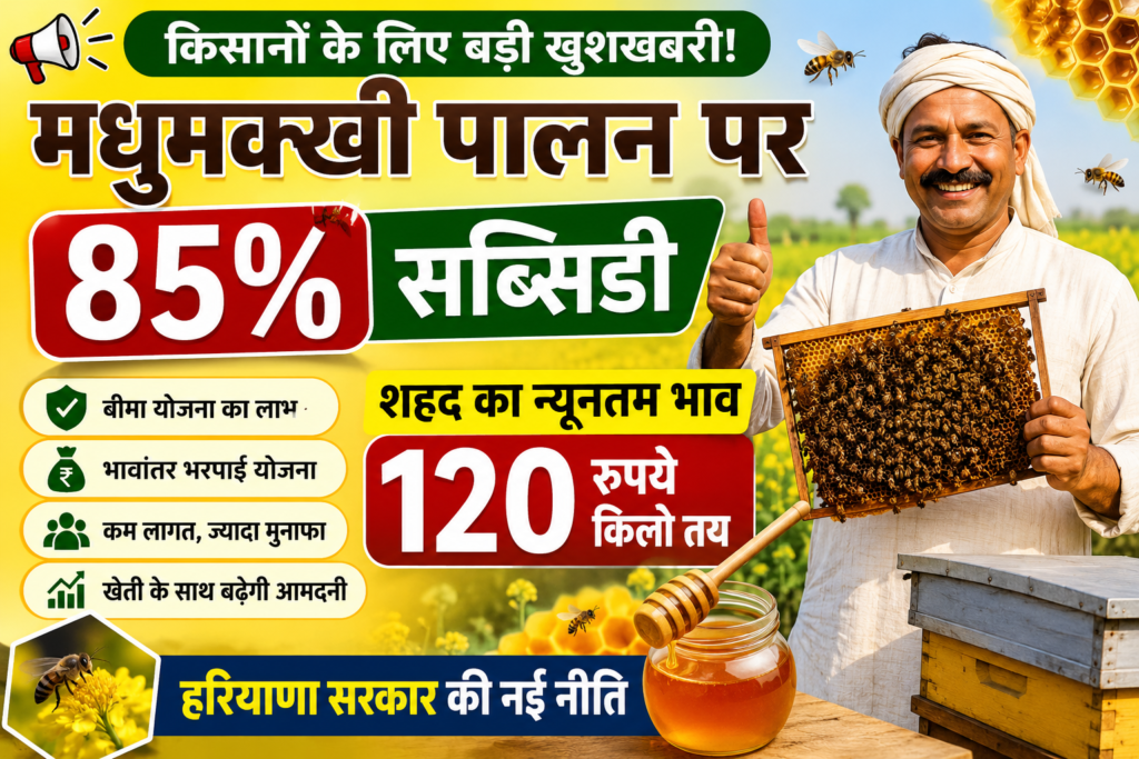 Bee Keeping Subsidy Haryana